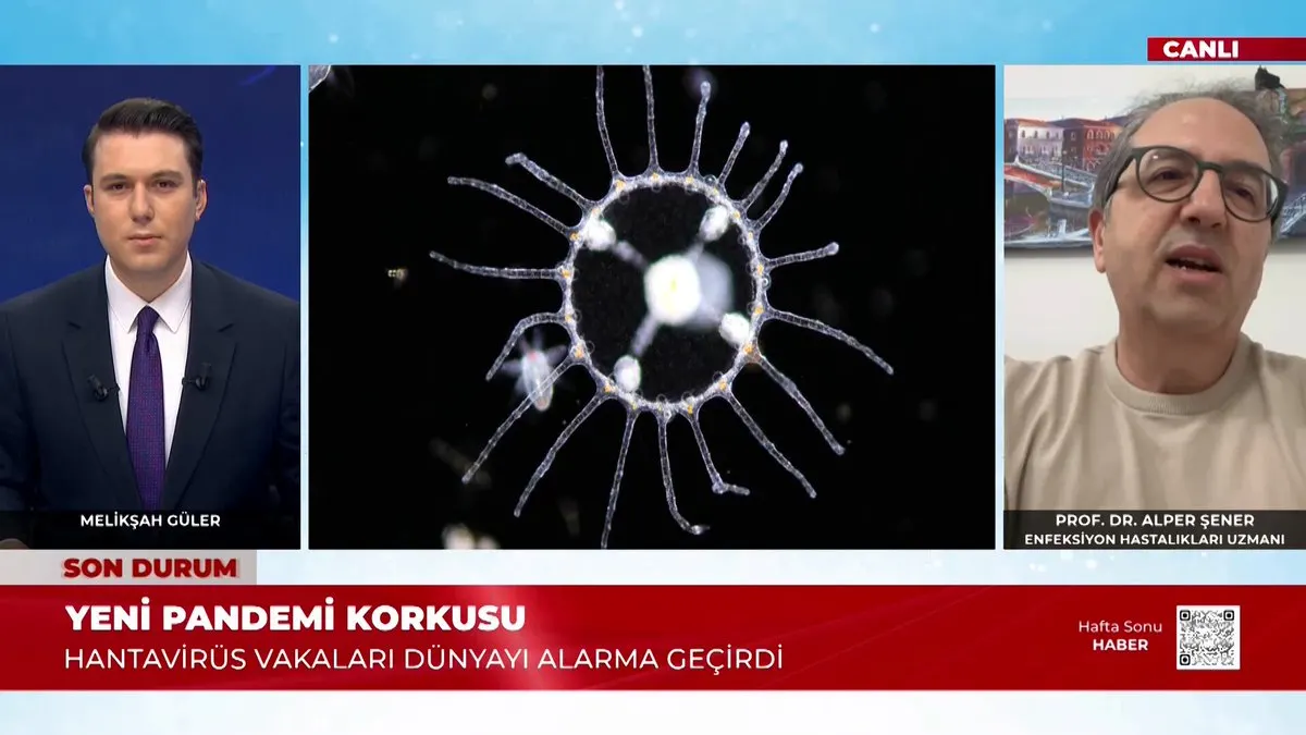 HANTAVİRÜS KONUSUNDA HANGİ MESLEK GRUPLARI RİSK ALTINDA? Uzmanlardan Kritik Uyarı Geldi