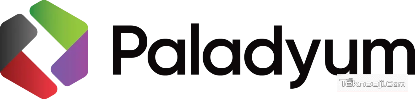 DİJİTAL CÜZDAN DEVRİMİ! Paladyum PeP Para Nedir, Nasıl Kullanılır ve Şirket Kimin? Kapsamlı Fintech İncelemesi