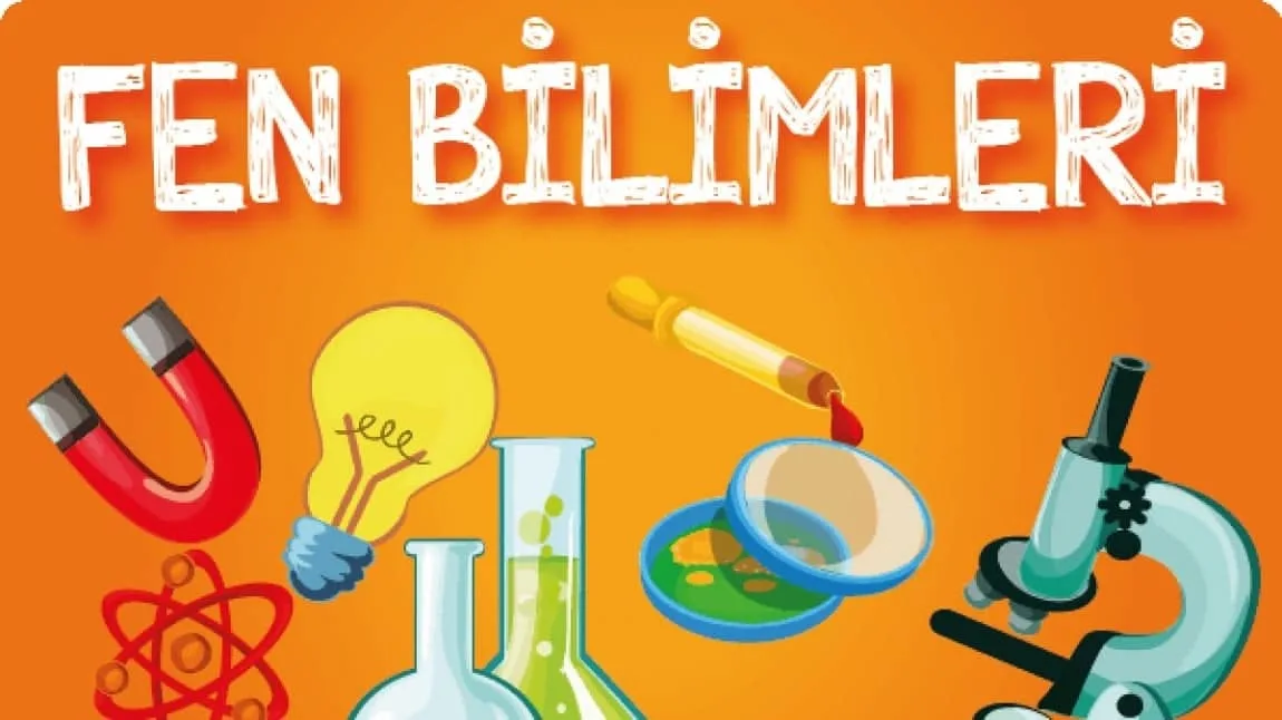 Fen Bilimleri Nedir, Ne İş Yapar? Ders İçeriği, Bölümleri ve Kariyer Alanları
