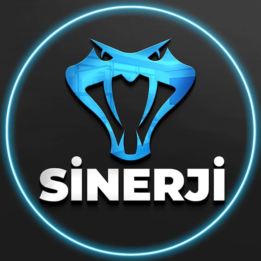 Sinerji Bilgisayar İletişim, Nerede, Güvenilir mi, Hazır Sistemler ve İş İlanları