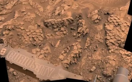 NASA’dan Mars’ta Şaşırtan Keşif! Curiosity, “Ejderha Derisi”ne Benzeyen Dev Kaya Yapılarını Görüntüledi