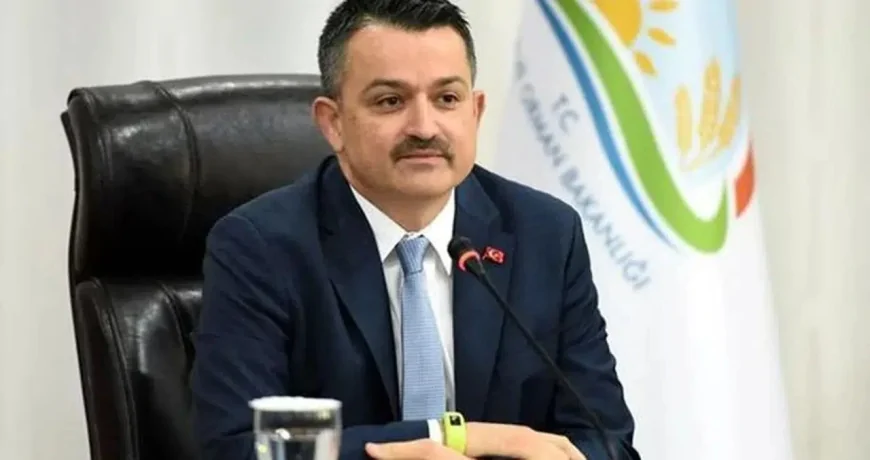 Bekir Pakdemirli Kimdir? Hayatı, Kariyeri ve Siyasi Geçmişi